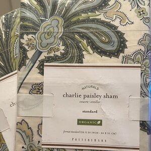 Pottery Barn Paisley Sham in Green and Blue